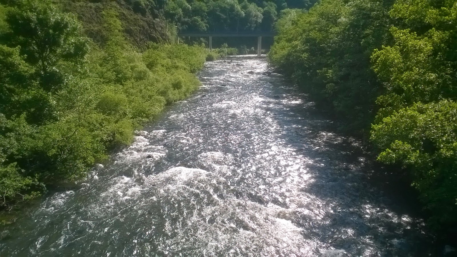 Resultados Campeonato Navarro Salm&oacute;nidos Lance 2015